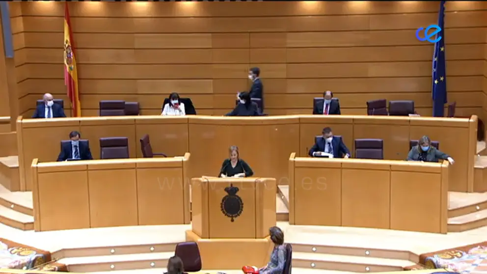 senado