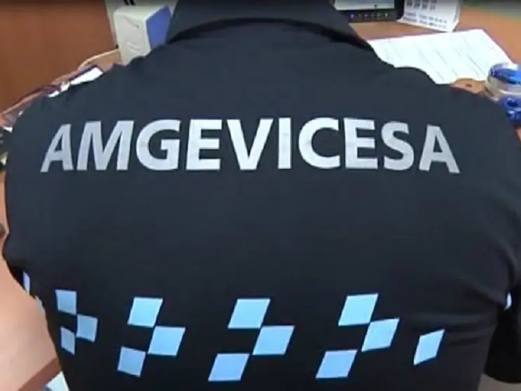 AMGEVICESA