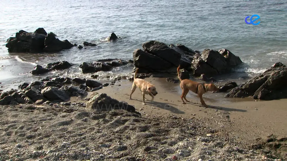 Playa Perros