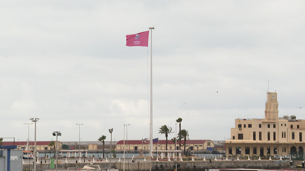 Bandera cancer de mama puerto