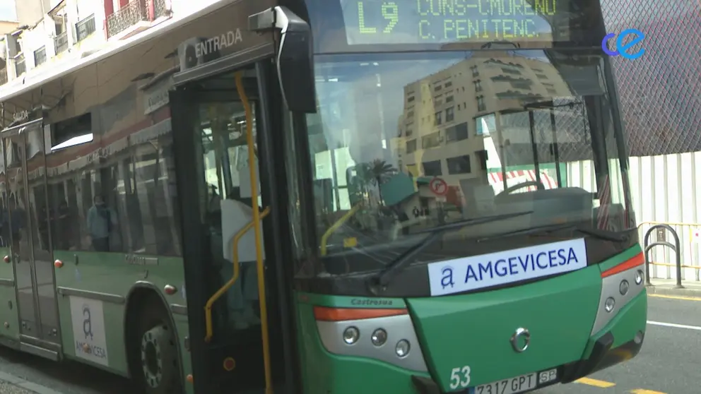 autobuses amgevicesa