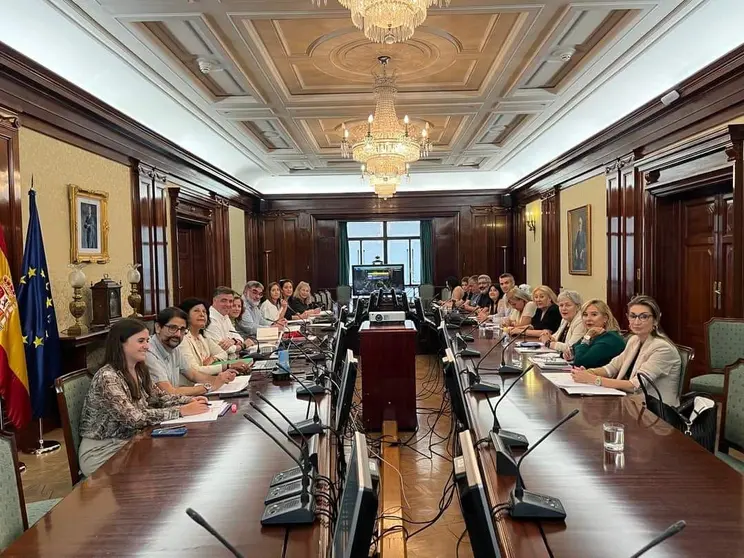 MESA SECTORIAL SANIDAD