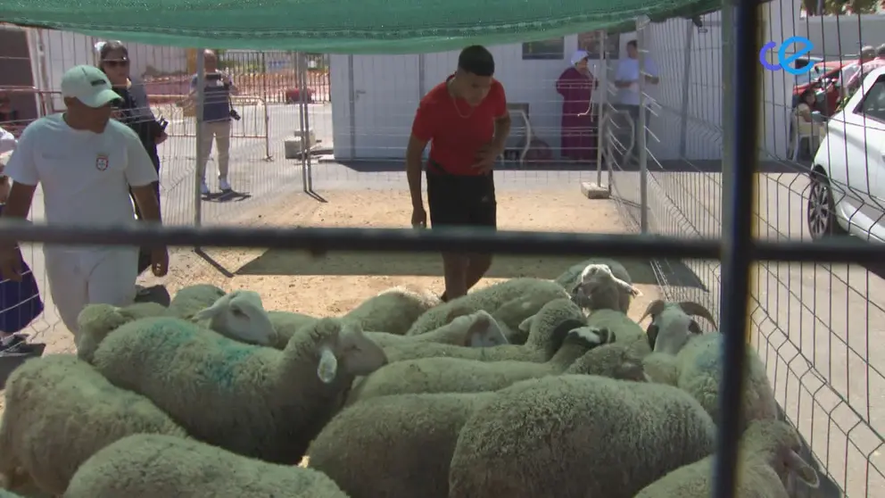 FIESTA SACRIFICIO 2024 EID AL ADHA