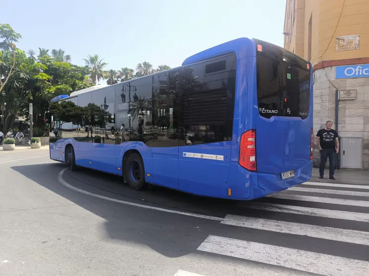 autobús urbano amgevicesa