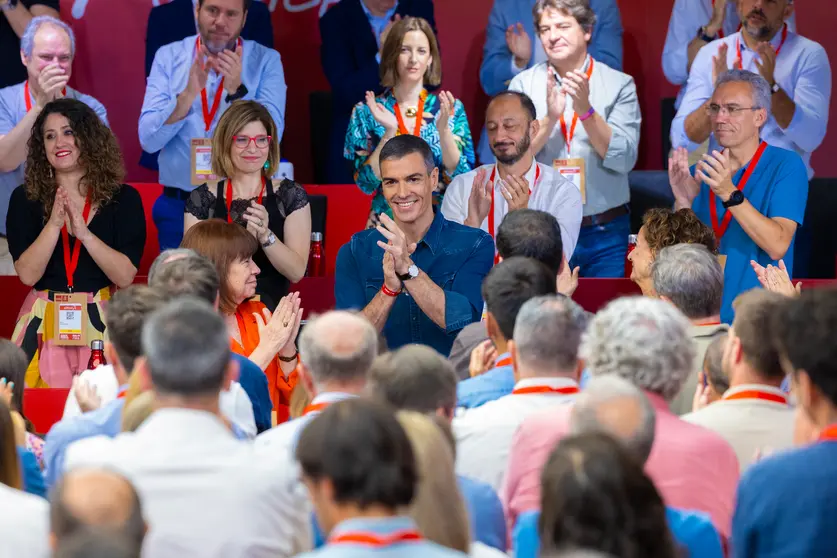 pedro sánchez psoe comité federal