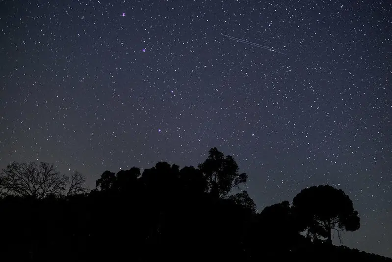 perseidas