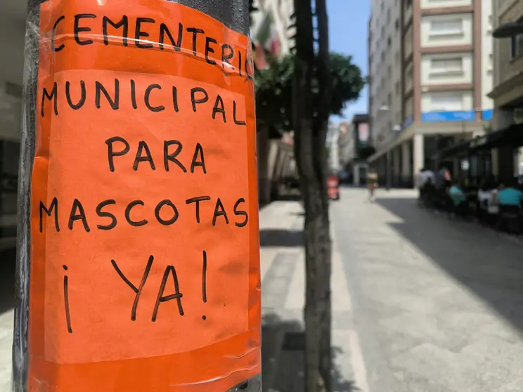 mascotas cementerio cartel