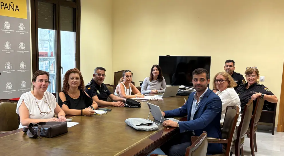 plan director violencia mujer