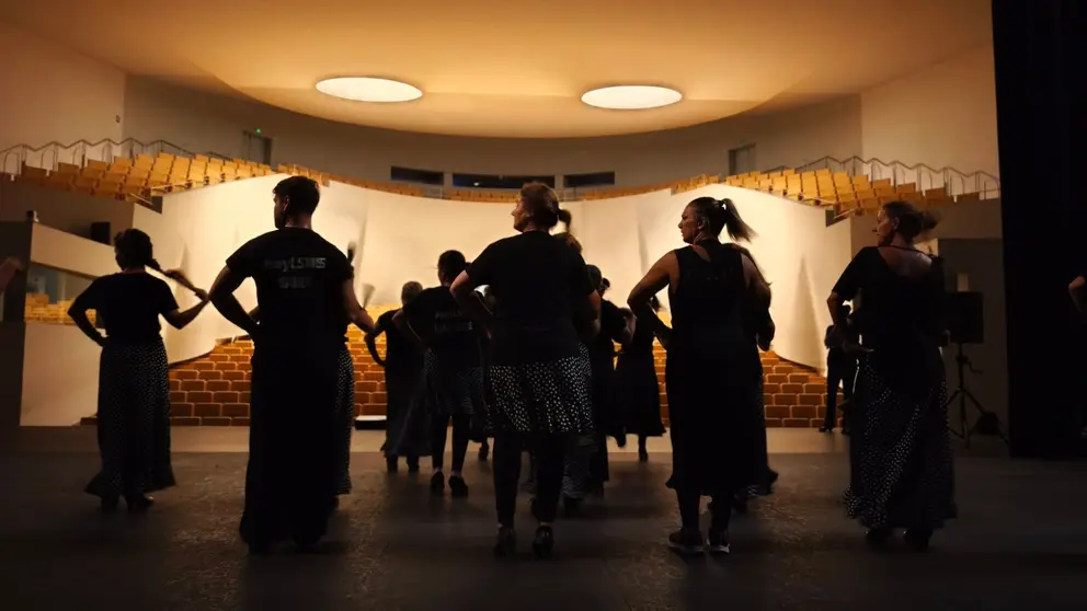 lsms auditorio