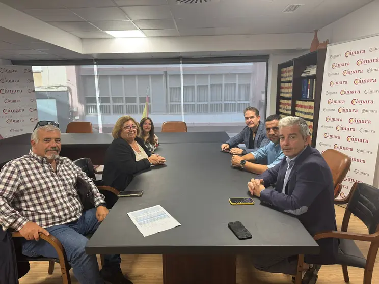 autoescuelas cámara