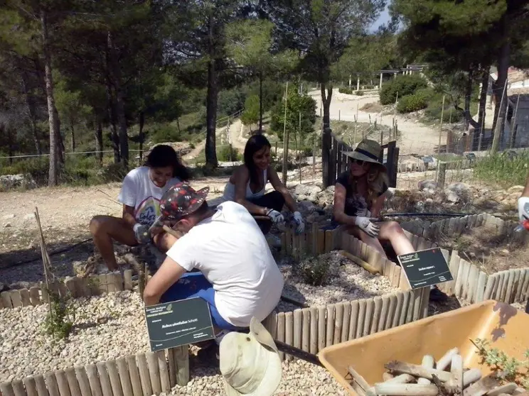 campo voluntariado valencia