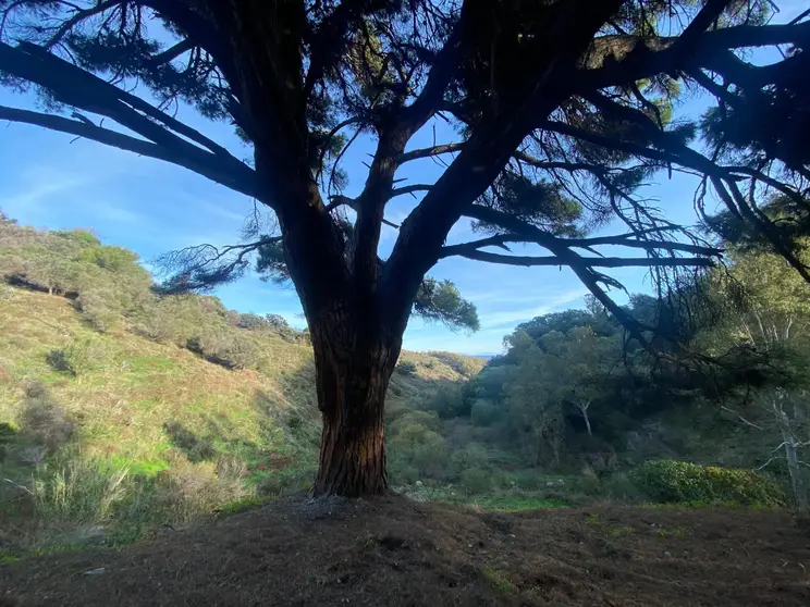 WhatsApp Image 2026-04-20 at 20.04.37