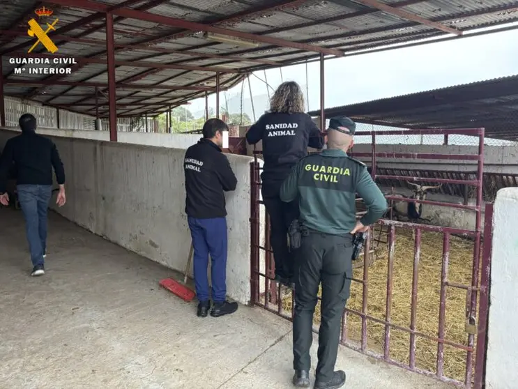 guardia civil ganaderas