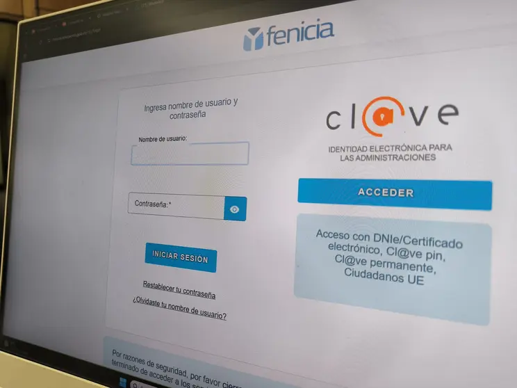 fenicia educaci&oacute;n