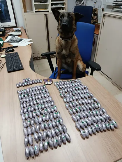 hach&iacute;s polic&iacute;a nacional