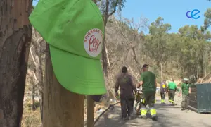 SENDEROS OBIMACE Y BRIGADAS VERDES