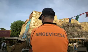 amgevicesa