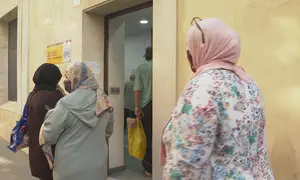 COLA SEPE PLAN DE EMPLEO