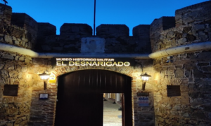 museo desnarigado