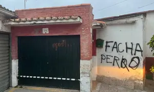 pintada augc