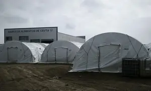 campamento puerto