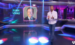 hormiguero vivas