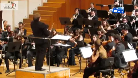 Concierto año nuevo