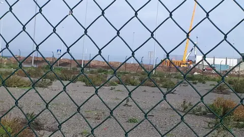 acumulación de algas