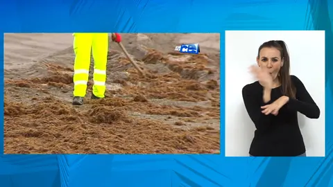 ILSE ALGAS INVASORAS.mp4.00_00_48_23.Imagen fija001