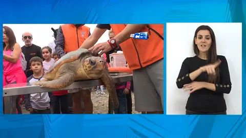 ILSE CECAM PREMIO ENCINA