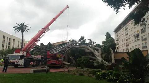 PHOTO-2020-03-25-11-30-43