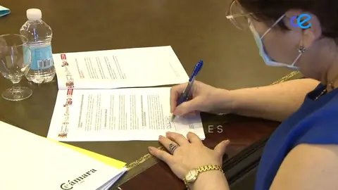 REUNIÓN DELEGACIÓN