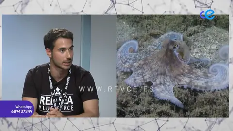 Fotografía Subactuática