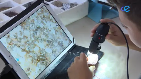 NOCHE EUROPEA DE LOS INVESTIGADORES