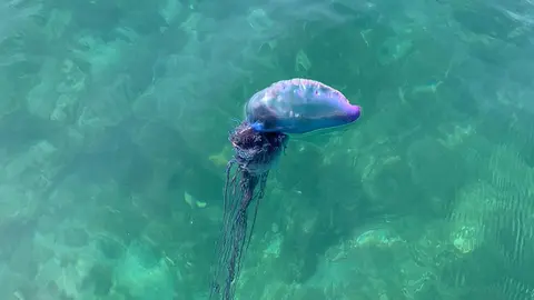 28905fc3-2730-49bb-b242-0ac7c8d1e733