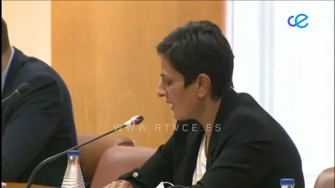 PLENO VOX INMIGRACION