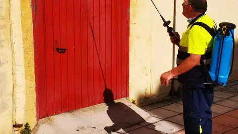 WhatsApp Image 2020-09-07 at 11.28.13