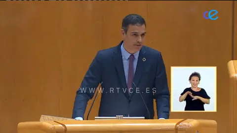Pedro Sánchez - Pte. del Gobierno