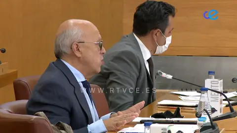 Javier Guerrero en el Pleno