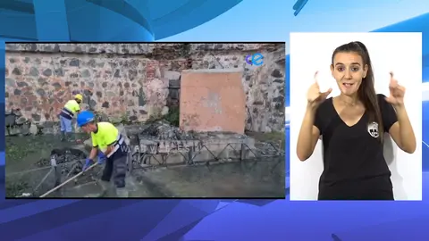 ILSE TOALLITAS INODORO