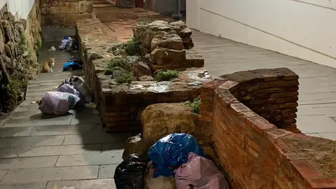 WhatsApp Image 2020-10-26 at 09.26.53