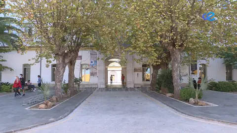 VICEDECANA GUADALUPE