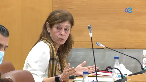 PLENO VOX EMPADRONAMIENTOS