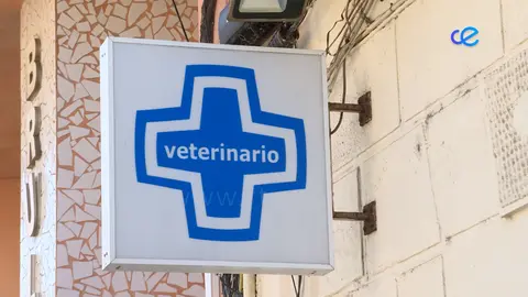 vet