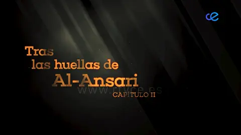 ANSARI