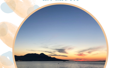 CAMPOS V. CARTEL 2021