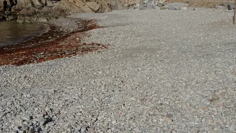 vista general de la playa tras la actuación