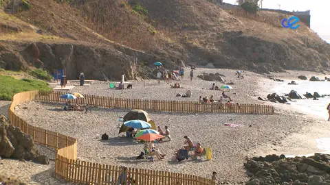 PLAYA PARA PERROS