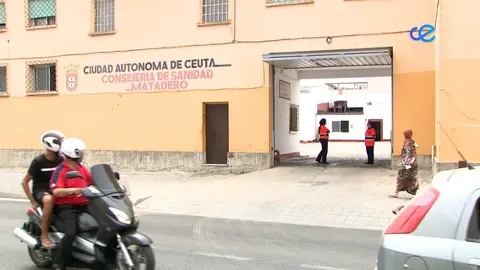 PROTOCOLO SACRIFICIO