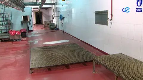 CAPACIDAD MATADERO 01